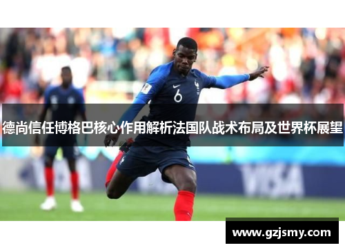 德尚信任博格巴核心作用解析法国队战术布局及世界杯展望