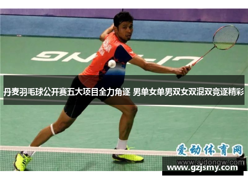 丹麦羽毛球公开赛五大项目全力角逐 男单女单男双女双混双竞逐精彩