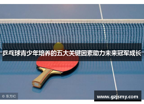 乒乓球青少年培养的五大关键因素助力未来冠军成长