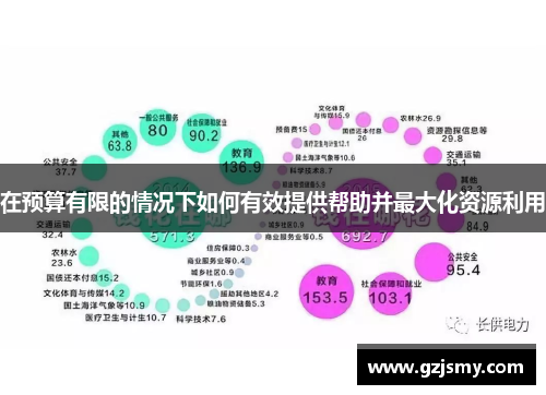 在预算有限的情况下如何有效提供帮助并最大化资源利用