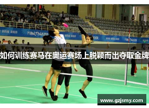 如何训练赛马在奥运赛场上脱颖而出夺取金牌